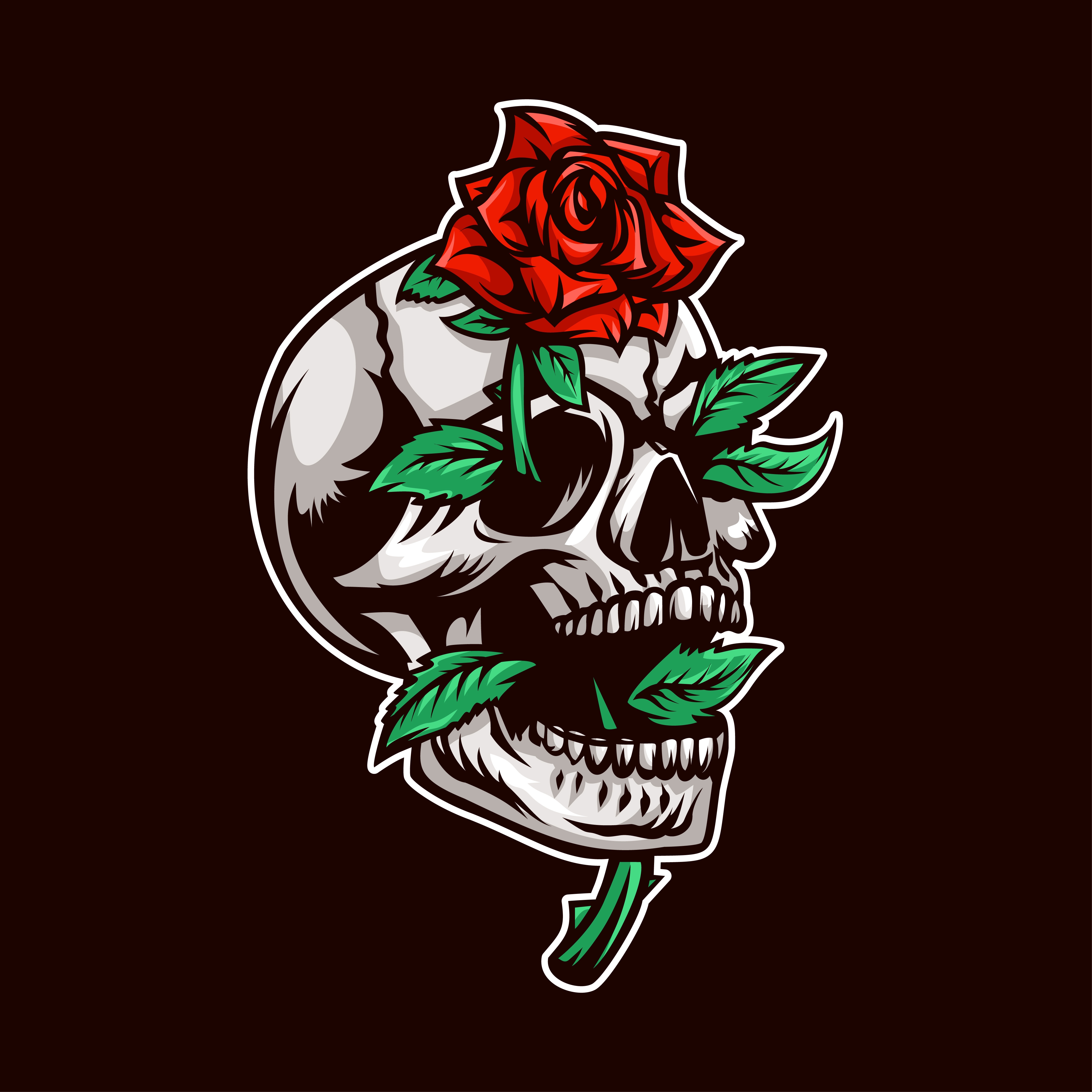 Head Skull with Red Rose Illustration