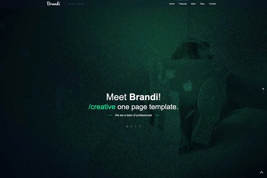 Brandi - Responsive One Page Business Template