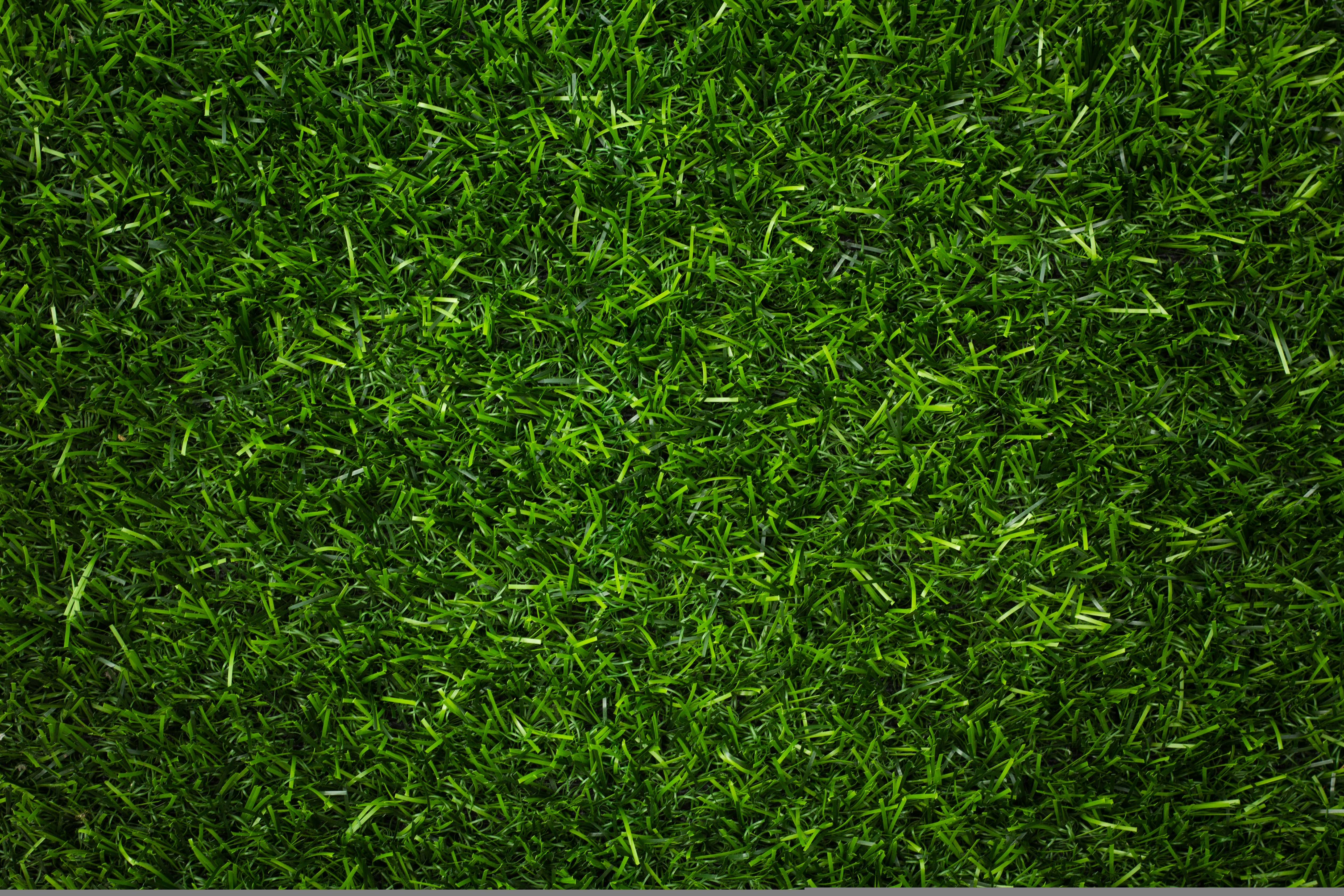 Artificial Green Grass Texture Background