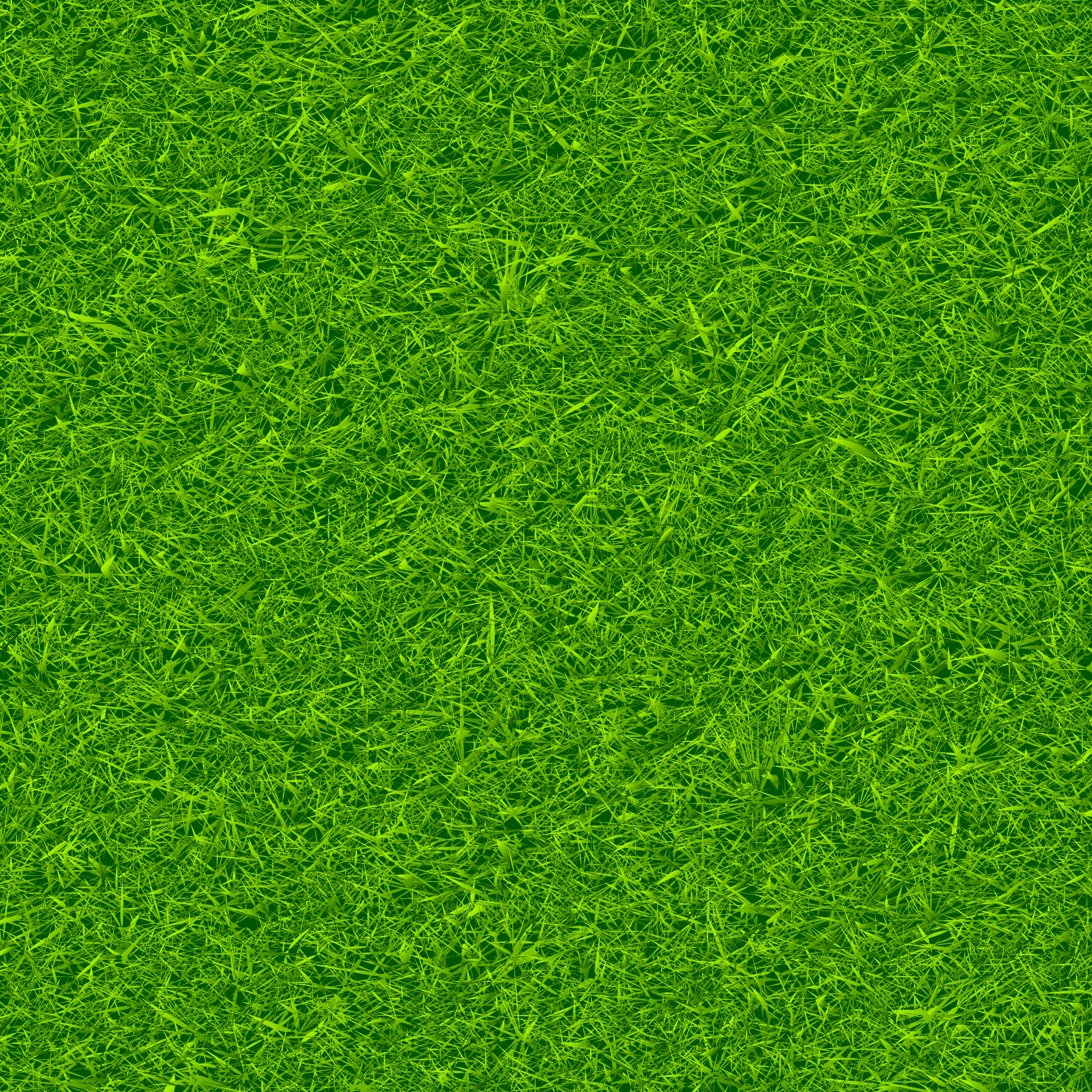 Green Grass Background Vector