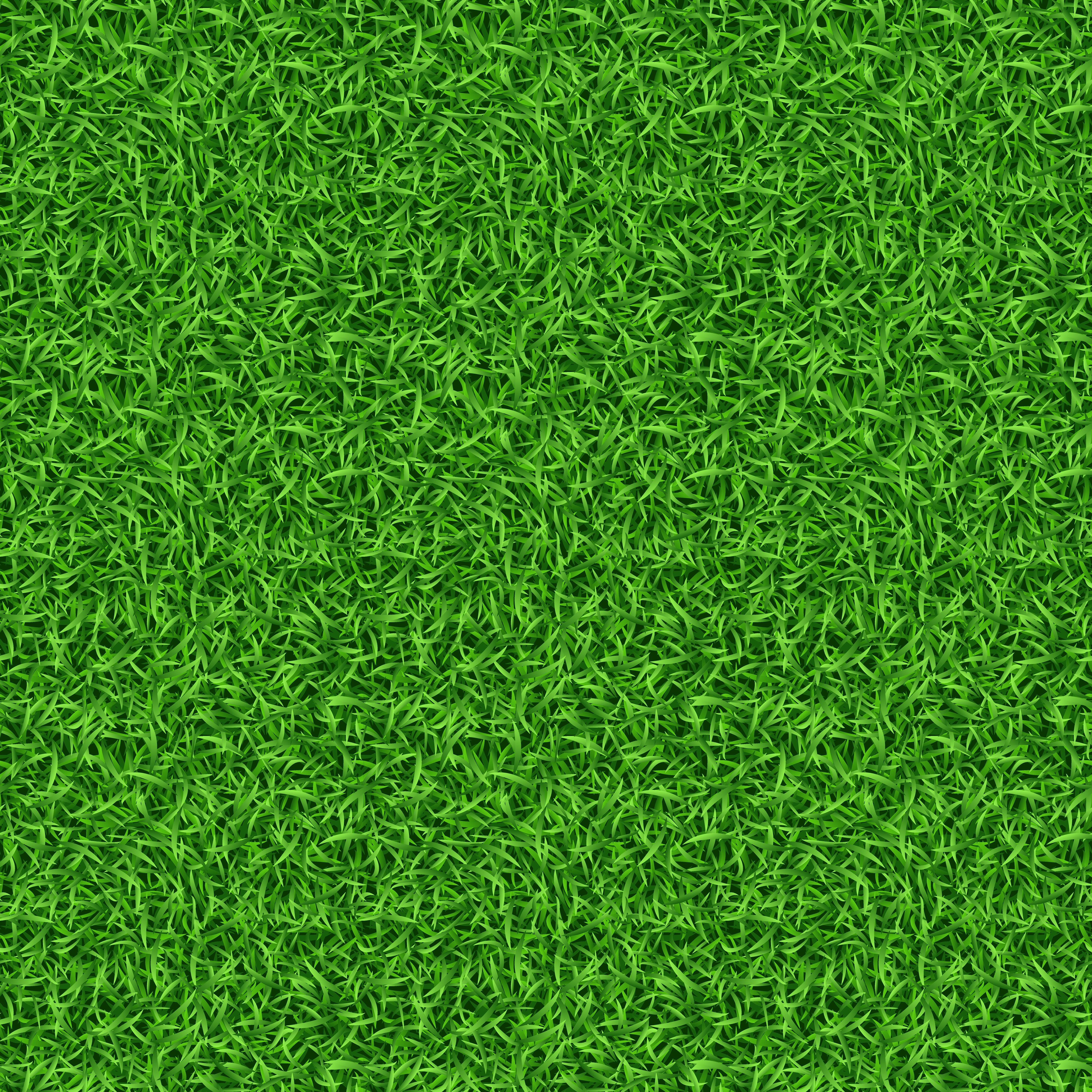 Seamless Green Grass Pattern